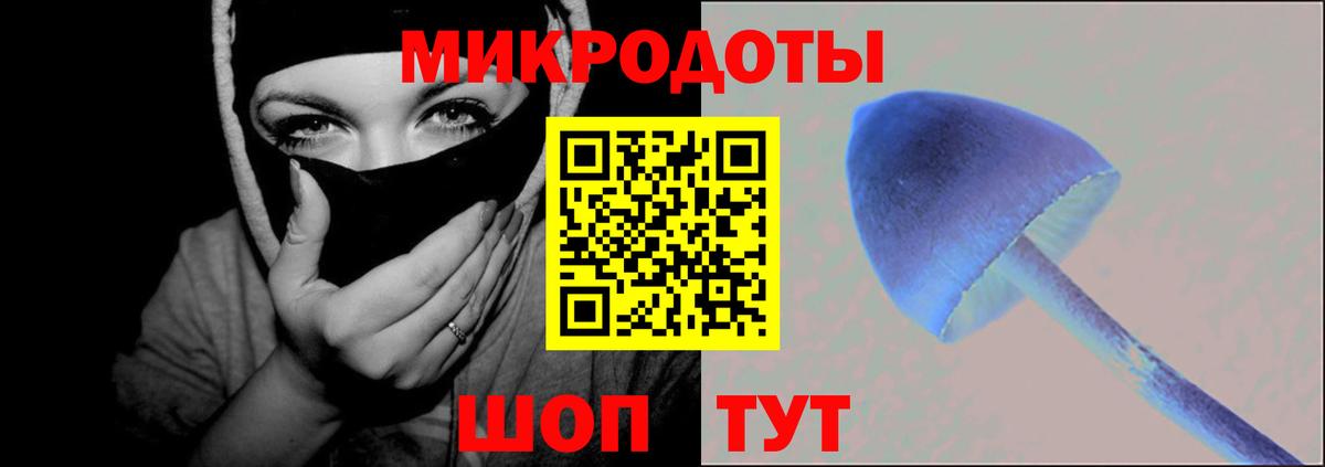 Псилоцибиновые грибы GOLDEN TEACHER  Псилоцибиновые грибы Cubensis  Ульяновск  Вход с VPN 